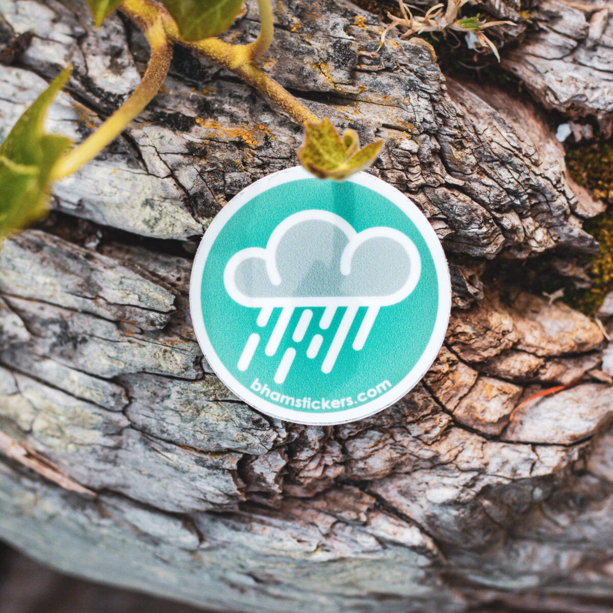 Bellingham Stickers